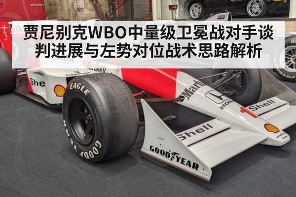 贾尼别克WBO中量级卫冕战对手谈判进展与左势对位战术思路解析